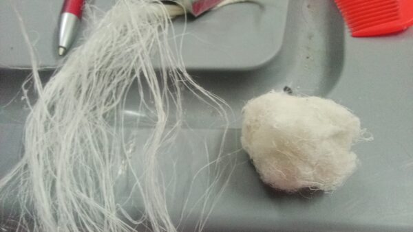 White Filaments