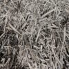Biochar