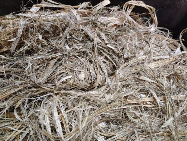 Raw Bast Ribbon