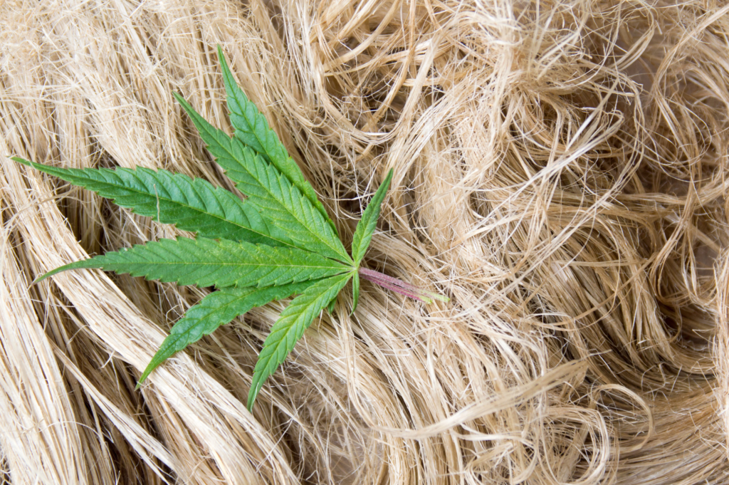 some hemp products